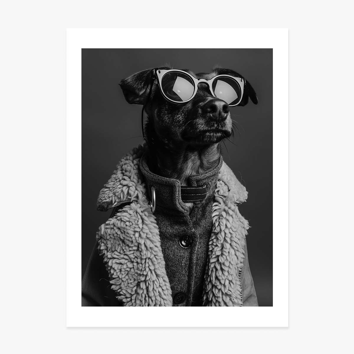 Dog Poster