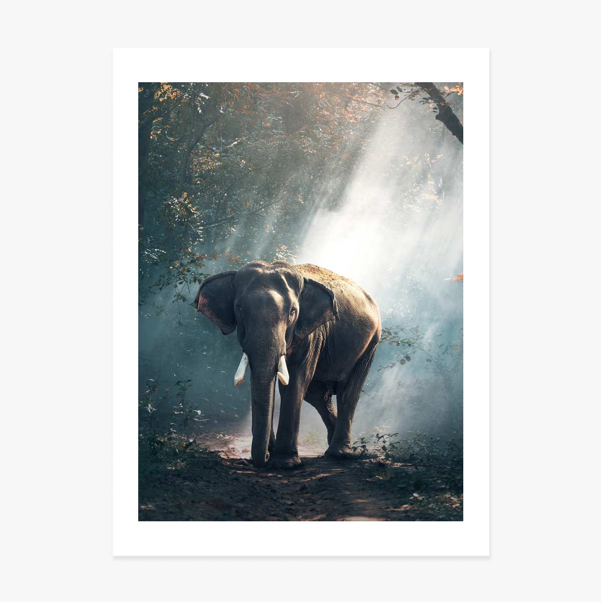Elephant Poster