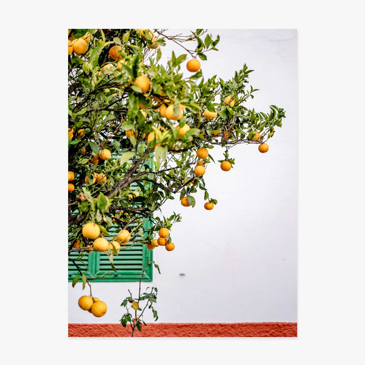 Tangerines Poster